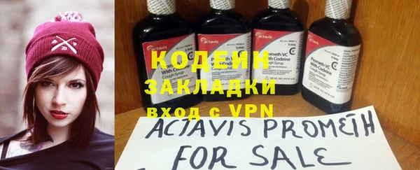 прущие грибы Наволоки