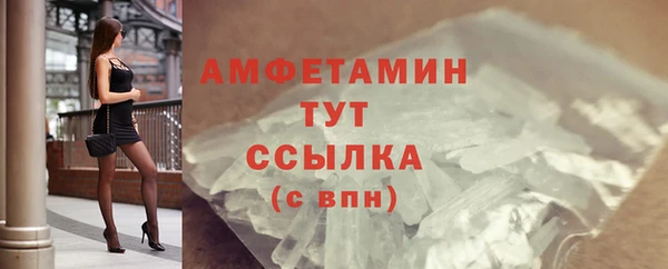 прущие грибы Наволоки