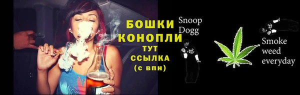 прущие грибы Наволоки