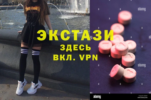 прущие грибы Наволоки
