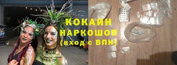 прущие грибы Наволоки