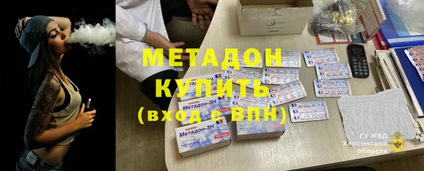 прущие грибы Наволоки