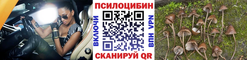 дарнет шоп  Кочубеевское  Галлюциногенные грибы мухоморы 